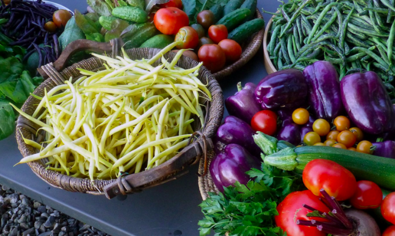 The Benefits of a Plant-Based Diet for Environmental Sustainability and Improved Health